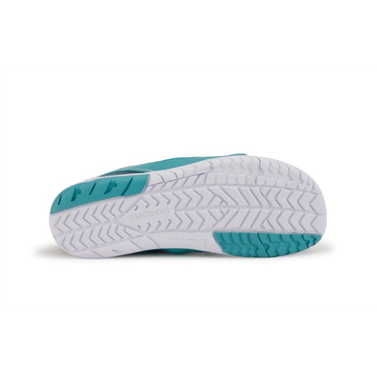 copy of copy of copy of copy of copy of Prio...