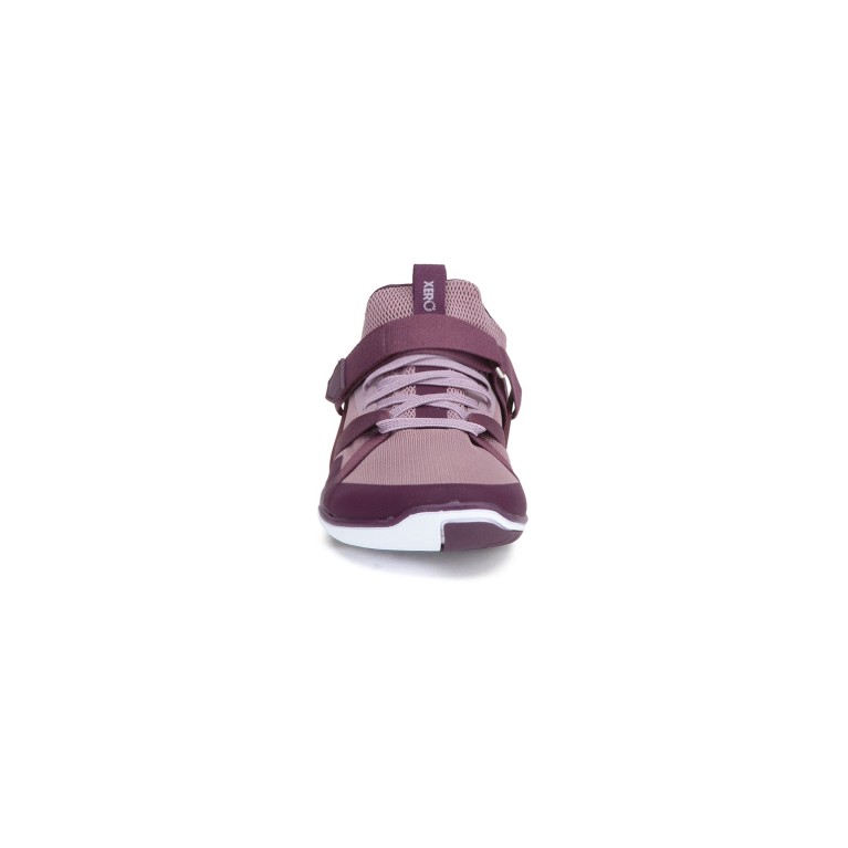 copy of copy of copy of copy of copy of Prio...