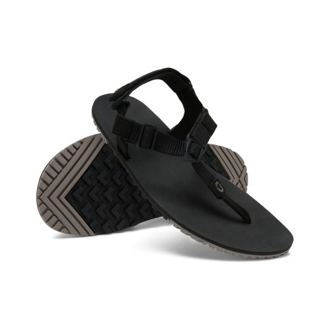 copy of copy of copy of copy of copy of