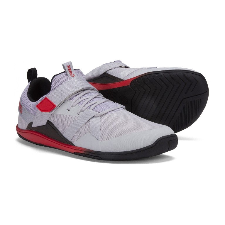 Forza Trainer - męski