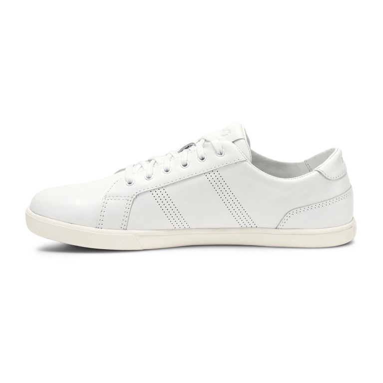 Dillon Leather - klasyczny sneaker - damskie