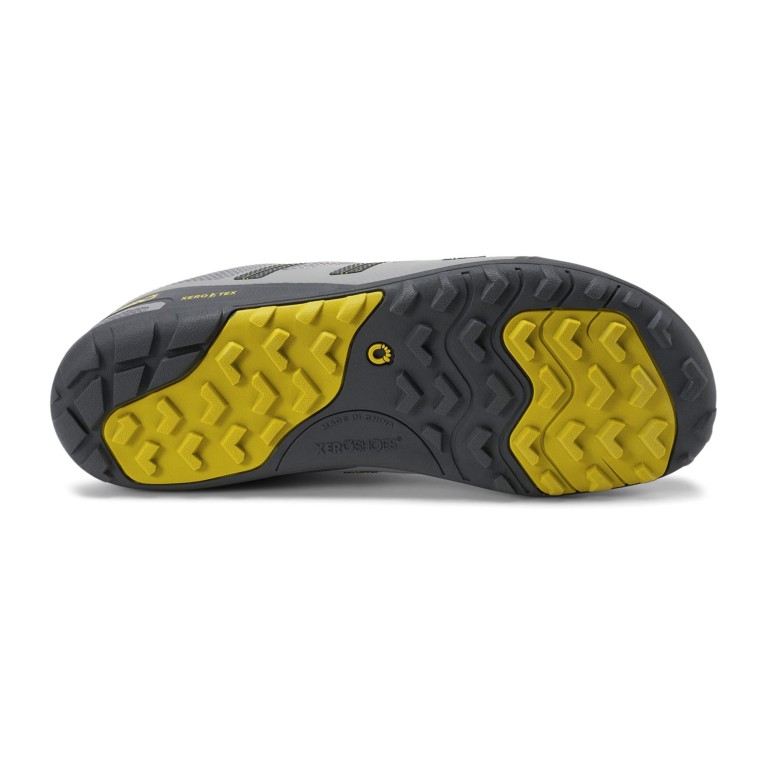 Mesa Trail WP - męski